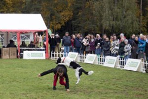 Gyvūnų mylėtojams pasiūlė parkui neįprastą reginį