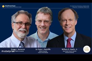 Paskelbti 2019 metų Nobelio medicinos ir fiziologijos premijos laureatai