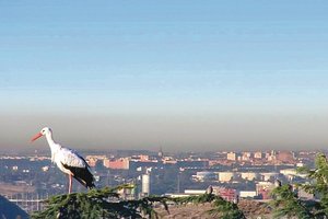 Ispanijos sostinėje oro tarša jau tapo matoma plika akimi