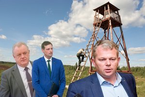 S. Skvernelis sureagavo į informaciją apie naujojo miškų urėdo ryšius su Vyriausybės nariais