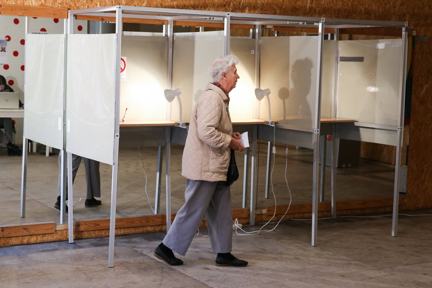 Eiliniai Seimo rinkimai turėtų vykti 2020 metų spalio 11 dieną.<br>R.Danisevičiaus nuotr.