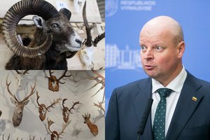 S. Skvernelis negali patikėti, kad medžioklėje yra sprendžiami valstybės reikalai