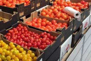 Nukainotų pomidorų pirkusi vilnietė pasigailėjo vos atidariusi dėžutę