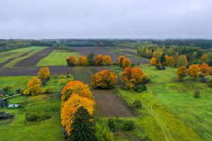Seimas nustatė, kaip bus galima pirkti įsiterpusią valstybinę žemę