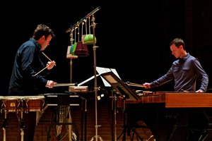 Trečioji „Gaidos“ diena: apie ekologišką kūrybos būdą. Tristano Pericho pasirodymas