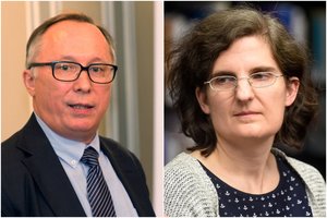 Politologai: vienmandačių apygardų ribų keitimas gali būti palankus dešiniesiems