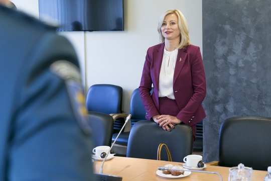 V. Matijošaičiui – vidaus reikalų ministrės kritika: ragina atsisakyti idėjos dėl Kauno rajono