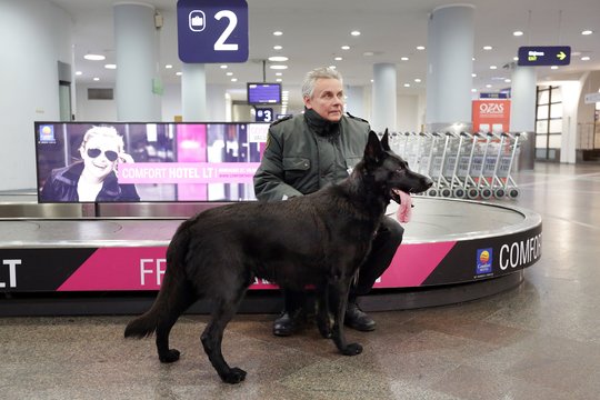 Kad augintinio nereikėtų palikti namuose: kai kurie keliauja ir lėktuvo salone