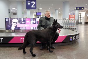 Kad augintinio nereikėtų palikti namuose: kai kurie keliauja ir lėktuvo salone