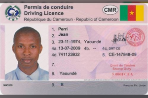 Pasieniečiai sulaikė kamerūnietį, pateikusį suklastotą vairuotojo pažymėjimą