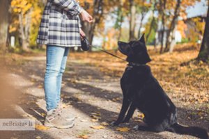 Priglaudė šunį tarsi juodąjį vilką, gamtoje nejaučiantį jokio streso