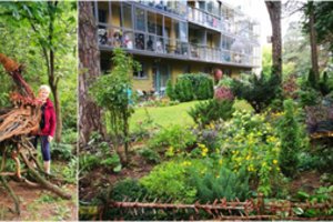 Išpuoselėtas neeilinio sostinės daugiabučio kiemas – vienos dailininkės nuopelnas 