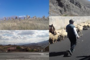 Eksperimentas: tolima kelionė – už mažiausią kainą. Viskas prasidėjo nuo klaidos