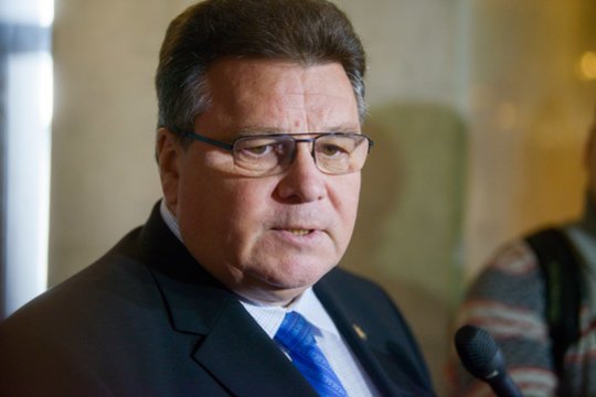 Linas Linkevičius su ES ministrais aptars atsaką Turkijai