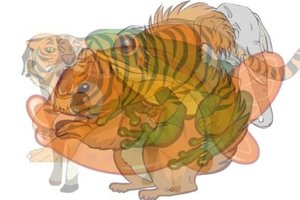 Kokį gyvūną pamatėte pirmą? Tai rodo, koks jūs žmogus