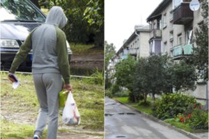 Pravieniškių būsto rinka pasiekė neregėtas aukštumas – juos šluoja pasiturintys nuteistieji