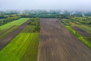 Didžiausi Lietuvos žemvaldžiai: tūkstančiai hektarų – saujelės rankose