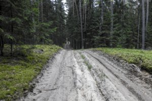 Šiauliuose pareigūnai vykdė miške pasiklydusio vyro paiešką