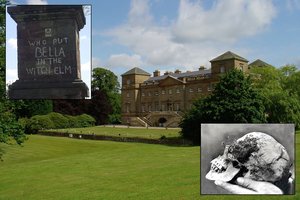 Moters griaučiai medyje: kraupus radinys iki šiol išlieka mįsle