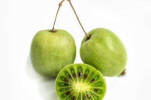 Į Lietuvą veržiasi aktinidijų auginimo banga: tai vitamino C bombos