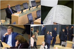 Cirkas Seime – nuo ryto iki nakties: garsioji V. Pranckiečio frazė neišsipildė