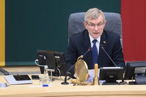 Politologai apie kitą Seimo pirmininko kėdės istorijos pusę: nemaloniai liečia visas partijas