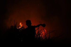 Indonezija: dėl miško gaisrų uždaryti vaikų darželiai ir mokyklos