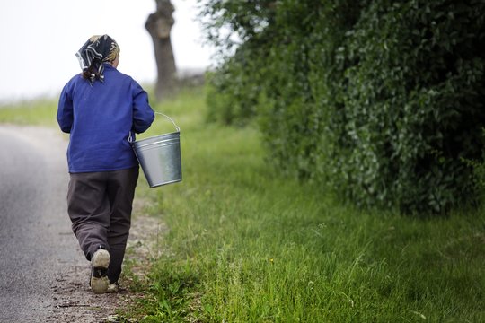 Biržų r. pavogta kibire nešta piniginė