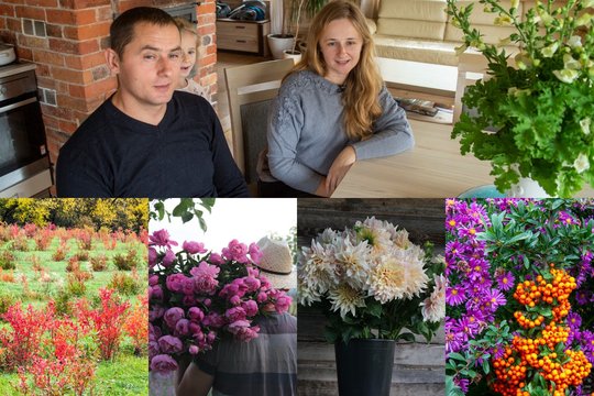 Gėlių ūkio šeimininkai išdavė, kaip ilgiau išlaikyti puokštes ir ką pakuždėjo pelėnai