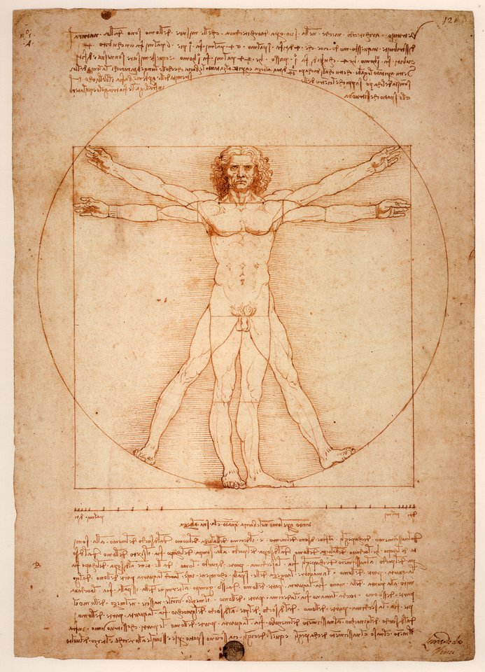 Garsusis Leonardo da Vinci piešinys „Vitruvijaus žmogus“ (L'Uomo Vitruviano).<br> Wikimedia nuotr.