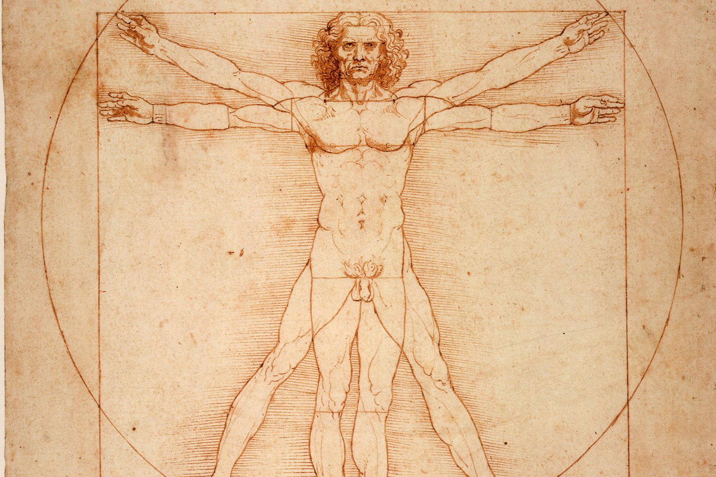 Garsusiojo Leonardo da Vinci piešinio „Vitruvijaus žmogus“ (L'Uomo Vitruviano) fragmentas.<br> Wikimedia nuotr.
