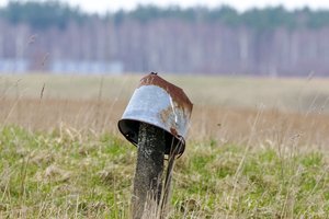 Kupiškyje baisiai atsikratyta gyvūnais: rasti 5 kibire nuskandinti kačiukai