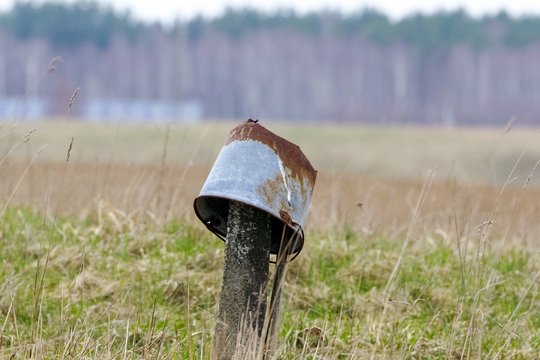 Kupiškyje baisiai atsikratyta gyvūnais: rasti 5 kibire nuskandinti kačiukai
