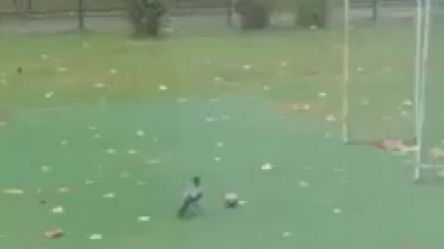 Kauno darželyje – futbolo žvaigžde tapęs paukštis