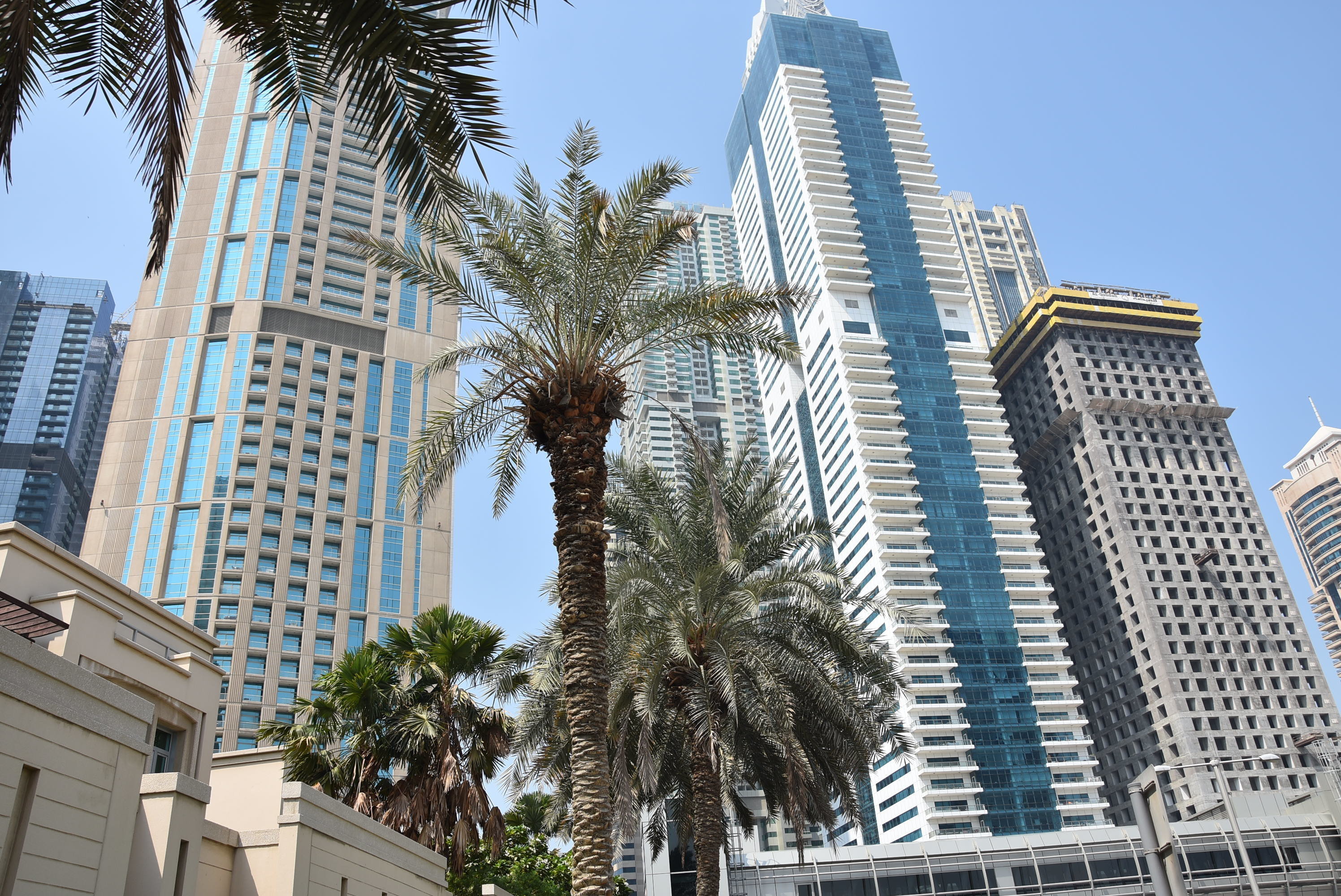 Dubajus