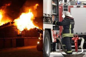 Dėl siaubingo gaisro traukiasi Alytaus rajono gyventojai – šeima jau paliko namus