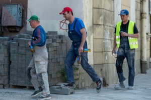 Liberalas S.Gentvilas pasiūlė, kaip pigiai išgydyti visą statybų sektorių