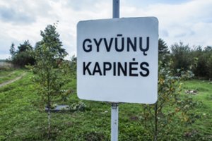 Atsakė, kaip atsisveikinti su mylimu augintiniu