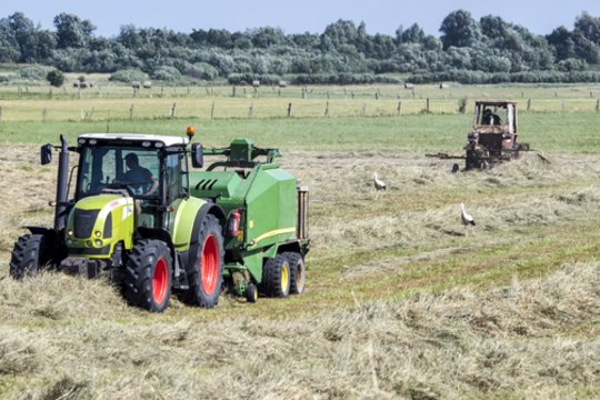 Seimas spręs, ar apkarpyti mokesčio lengvatą dirbamai žemei