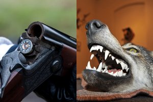 Pareigūnai patikrino medžiotojus: pusė sulaikytų brakonierių – viename Lietuvos regione