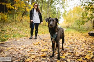 Širdį pavergęs prieš Kalėdas, namus užkariavo Naujųjų išvakarėse