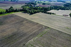 Siūloma atsisakyti mokesčių lengvatos stambiesiems žemvaldžiams