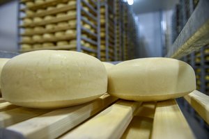 Penkeri metai po embargo: kaip laikosi mūsų kaimynė Rusija?