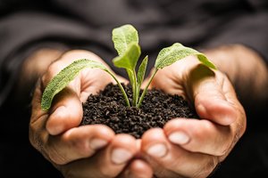 Europoje įsibėgėja natūrali žemdirbystė: lietuviai neatsilieka