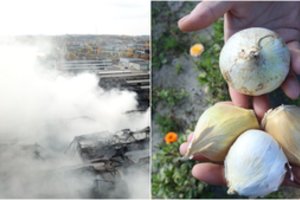 Valdininkai suka galvas, kaip lentynose išvengti per gaisrą Alytuje užterštų produktų