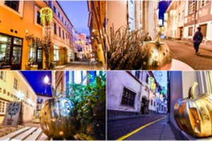 Tokį įspūdingą reginį jūs pamatysite tik čia: visur – ekstravagantiški moliūgai