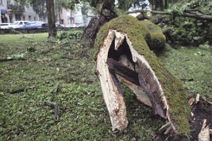 Savaitgalį galingas vėjas Lietuvoje vartė medžius, 26 kartus prireikė ugniagesių