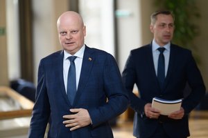 S. Skvernelis: Vyriausybė atlygins visą pagrįstai Alytaus gaisro padariniams priskirtą žalą