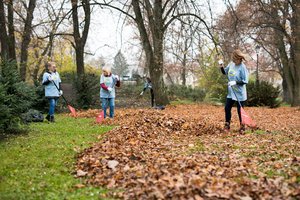 1000 valandų savanoriškai veiklai: nuo maisto aukojimo iki sutvarkyto Kryžių kalno