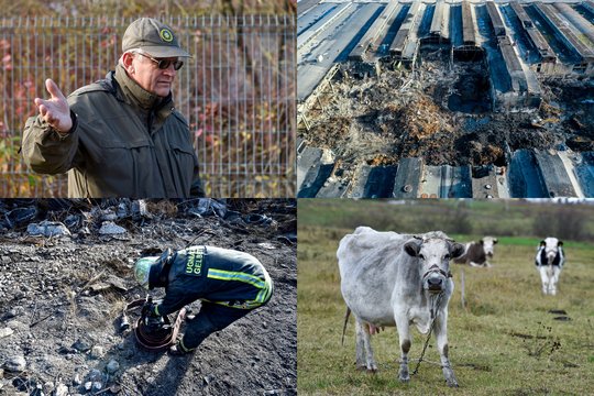 Nerimo dienos Alytaus apylinkėse: svilėsių kvapas, sutrikusi sveikata ir aprūkę langai